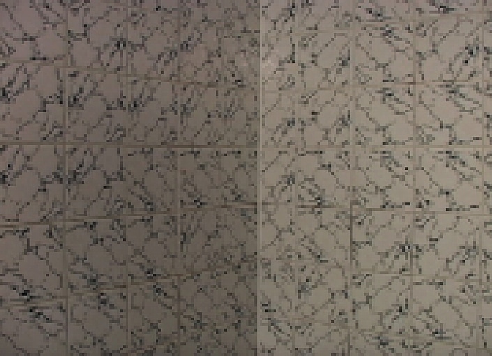 Suzanne Knows How to Use a Shower Massager