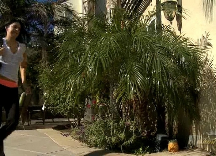 Nikki Daniels Pisses